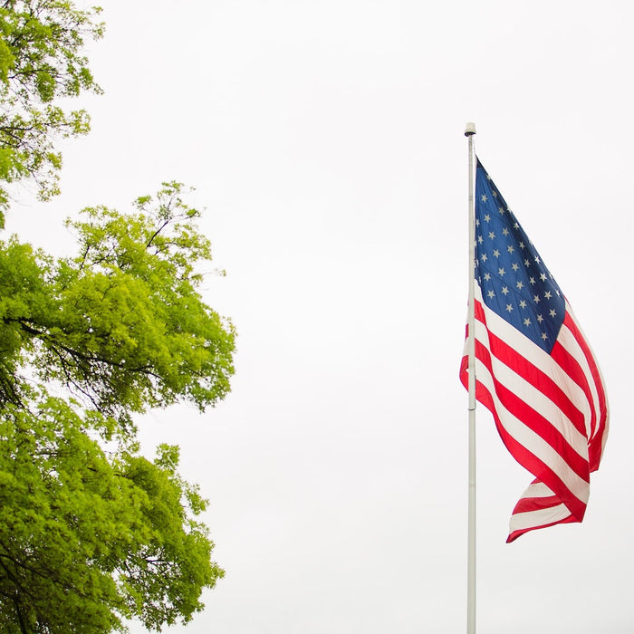 American flag hung on flag pole next to tree