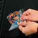 Person applying a blue and orange bear logo decal to a black surface