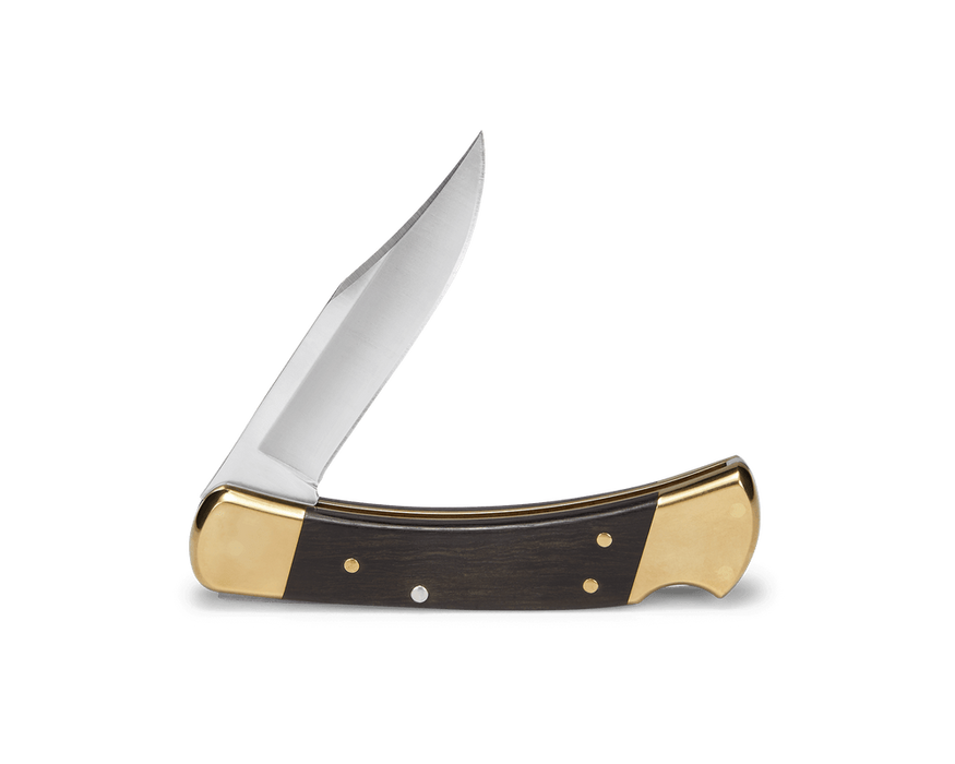 Buck 110 Folding Hunter Knife