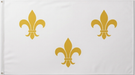 A white flag featuring three gold fleur-de-lis symbols, with metal grommets on the left white header.