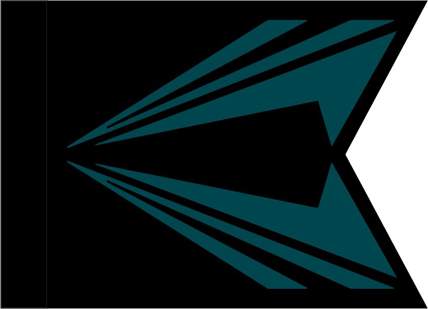 Space Force Gui Space Force Guidon (NRO) — Flags Unlimited