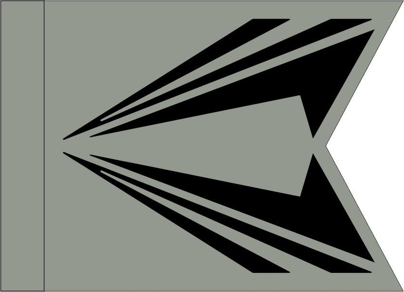 Space Force Guidon (SPOC) — Flags Unlimited