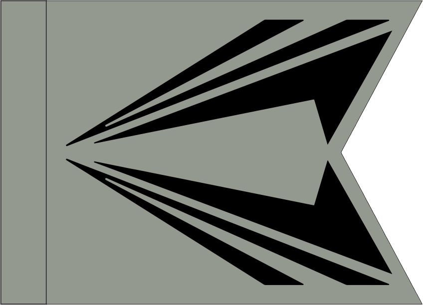Space Force Gui Space Force Guidon (SPOC) — Flags Unlimited