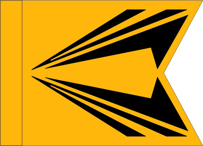 Space Force Gui Space Force Guidon (SSC) — Flags Unlimited