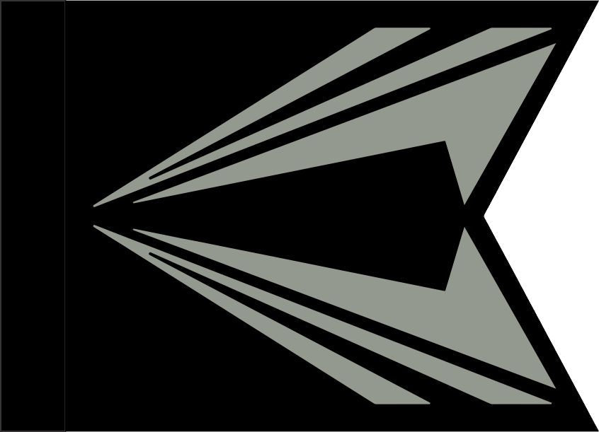 Space Force Guidon (USSF)