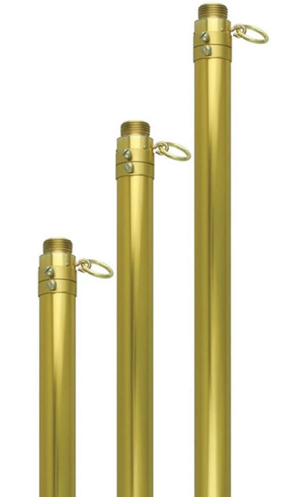 Adjustable Aluminium Parade Pole